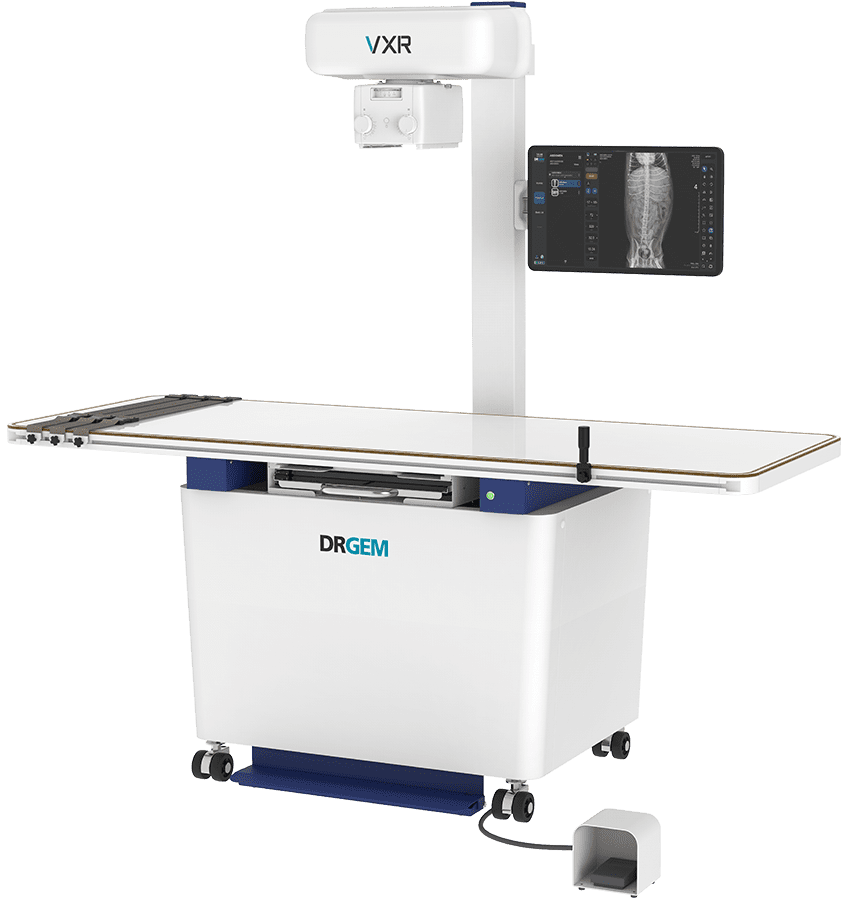 Point_VXR